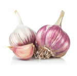 Knoblauch
