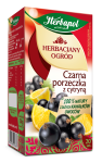 Herbata Herbaciany Ogród Czarna Porzeczka z Cytryną 20*2,7g Herbapol