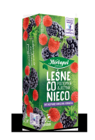 Kalt-/Warmtee Erdbeere Brombeere 20*2g Herbapol