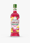  Likör Soplica Drachenfrucht Melone 21% 500ml CEDC