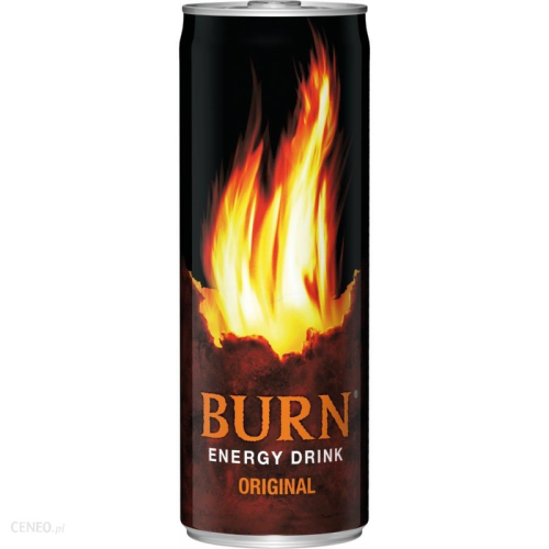 45291